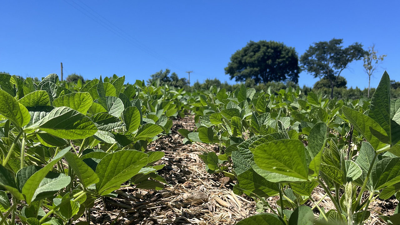 Agroprocessing